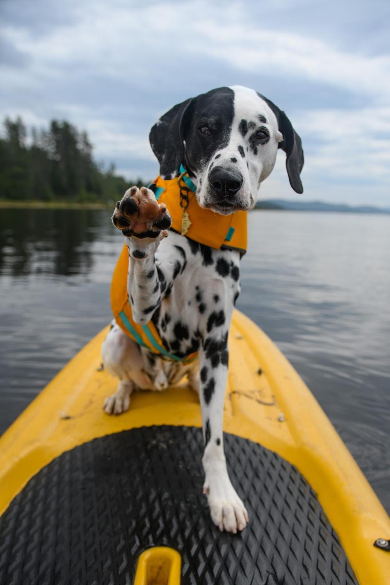 Auberge Du Lac Taureau Saint-Michel 外观 照片